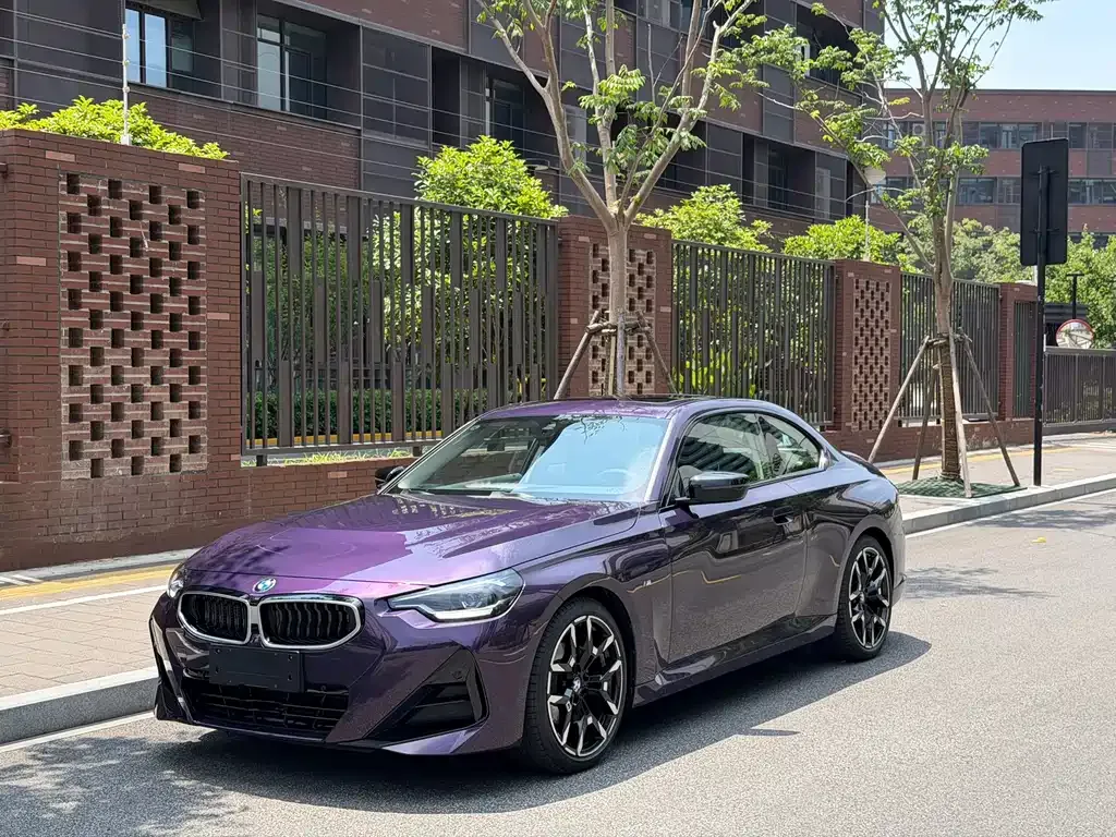 BMW 2 Series (Import) — фото 1