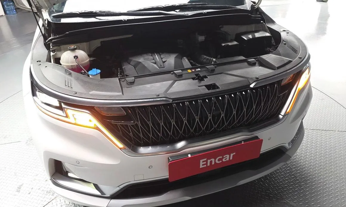 Kia Carnival — фото 10