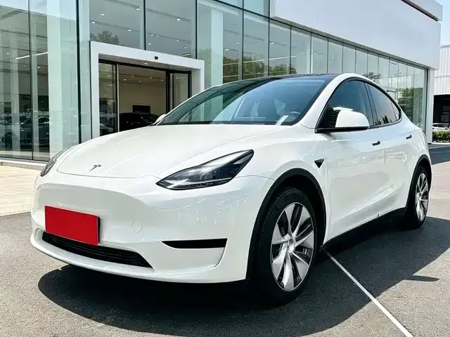 Tesla Model Y — фото 1