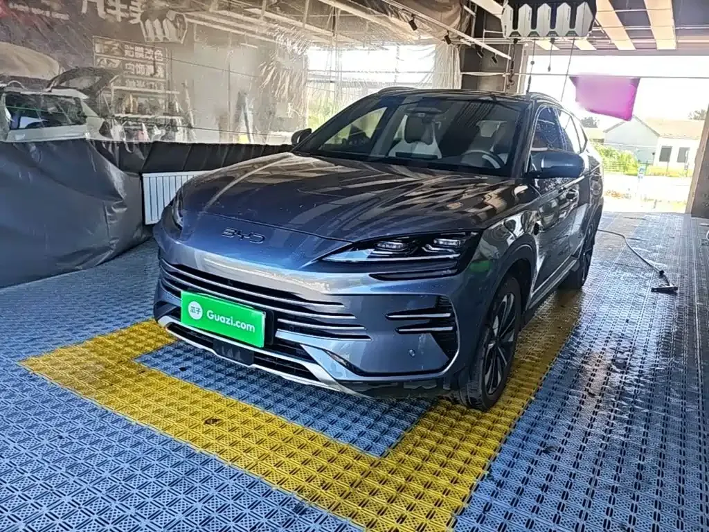 BYD PLUS New Energy — фото 1