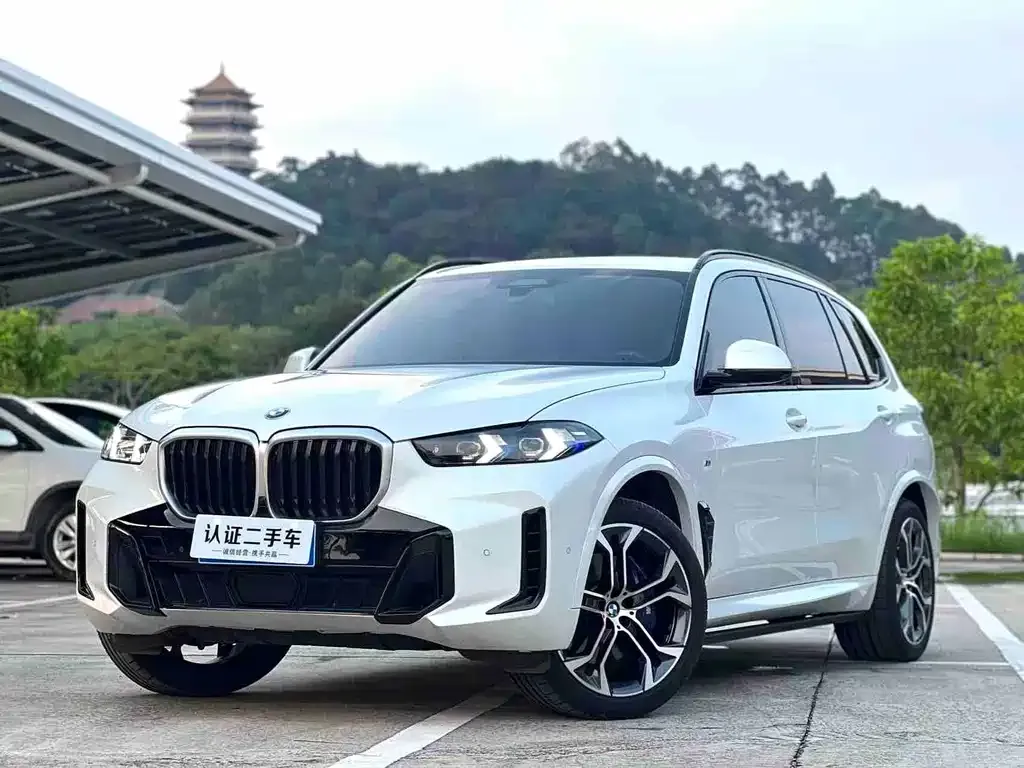 BMW X5 — фото 1