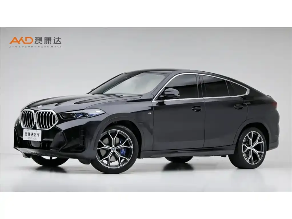 BMW X6 — фото 1