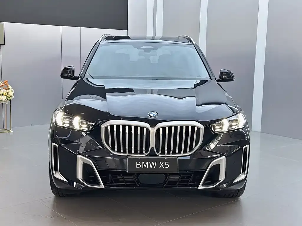 BMW X5 — фото 6