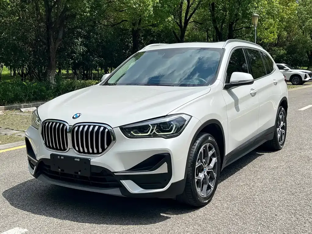 BMW X1 — фото 1