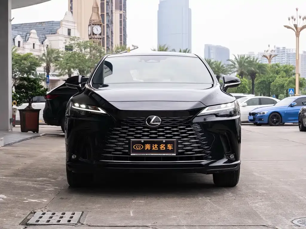 Lexus RX — фото 10