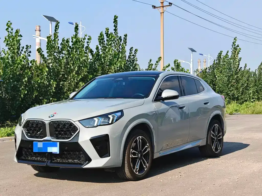 BMW X2 (Import) — фото 1