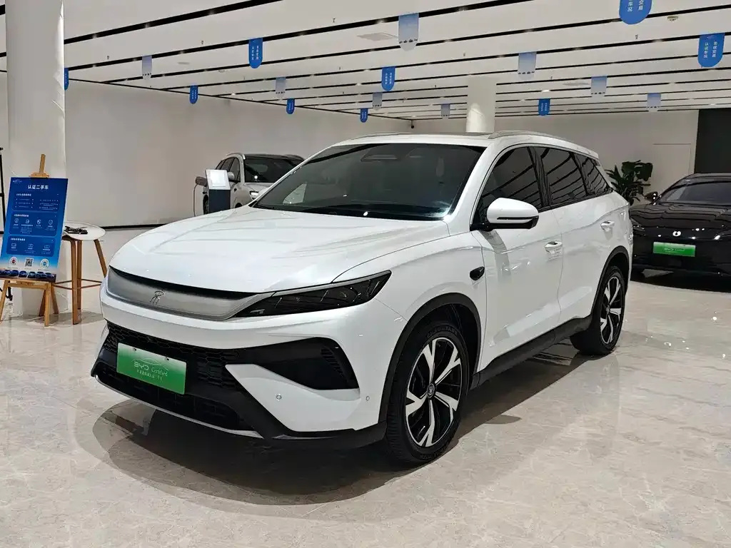 BYD Pro New Energy — фото 1