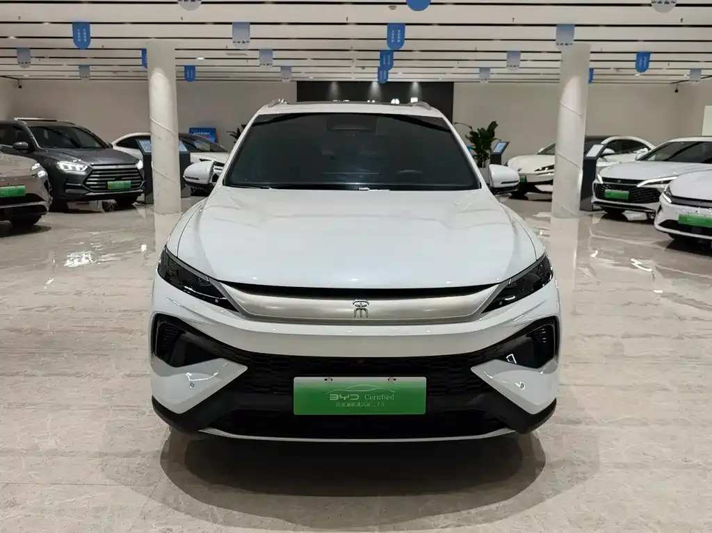 BYD Pro New Energy — фото 4