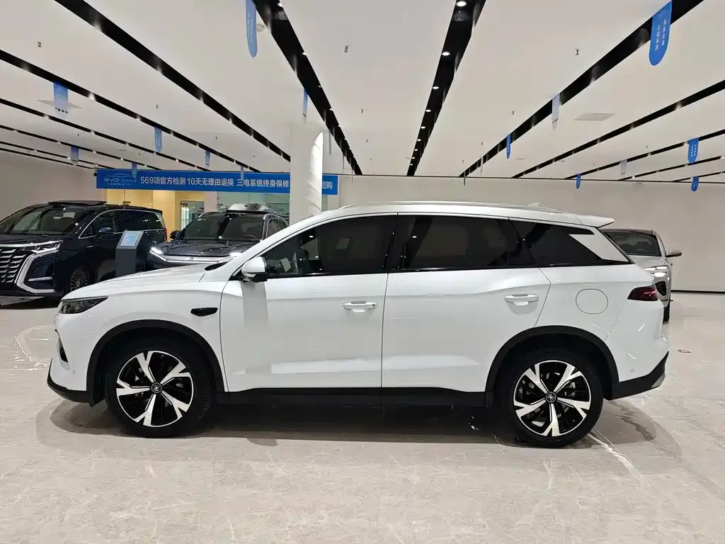 BYD Pro New Energy — фото 9