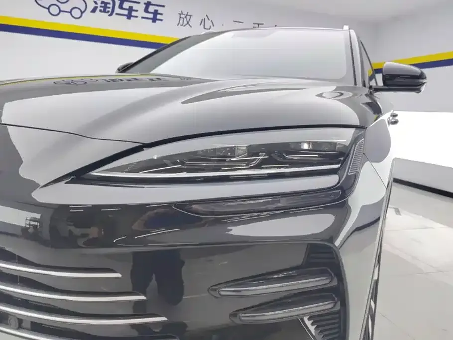 BYD PLUS New Energy — фото 8