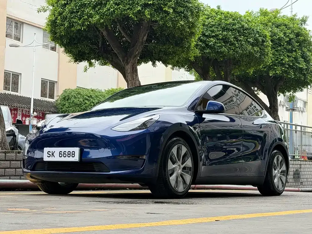 Tesla Model Y — фото 1