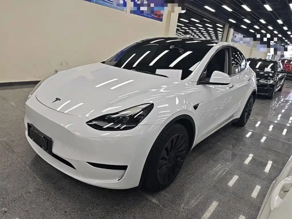 Tesla Model Y — фото 1
