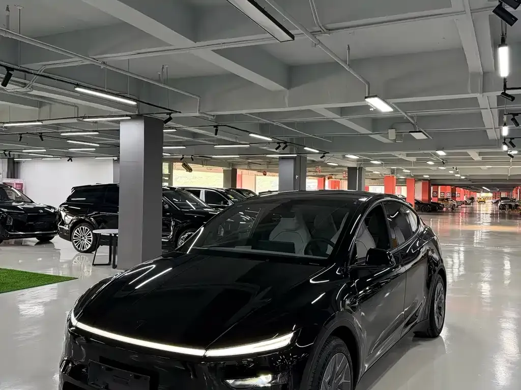 Tesla Model Y L — фото 1