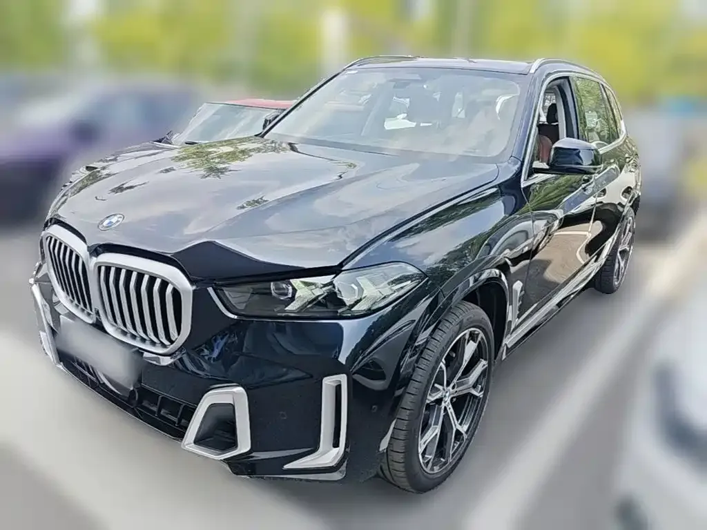 BMW X5 — фото 8