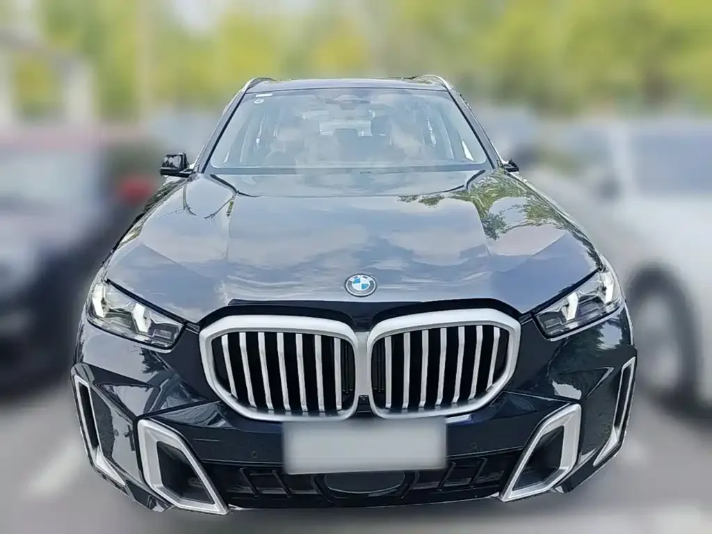 BMW X5 — фото 9