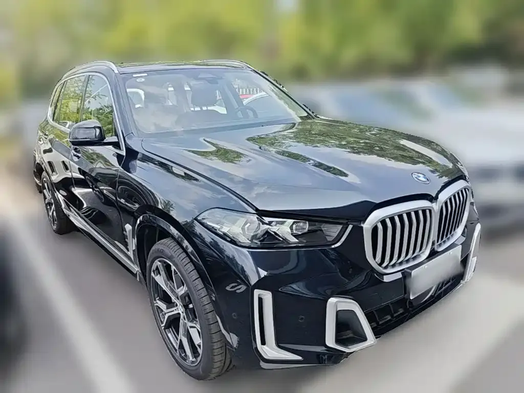 BMW X5 — фото 10
