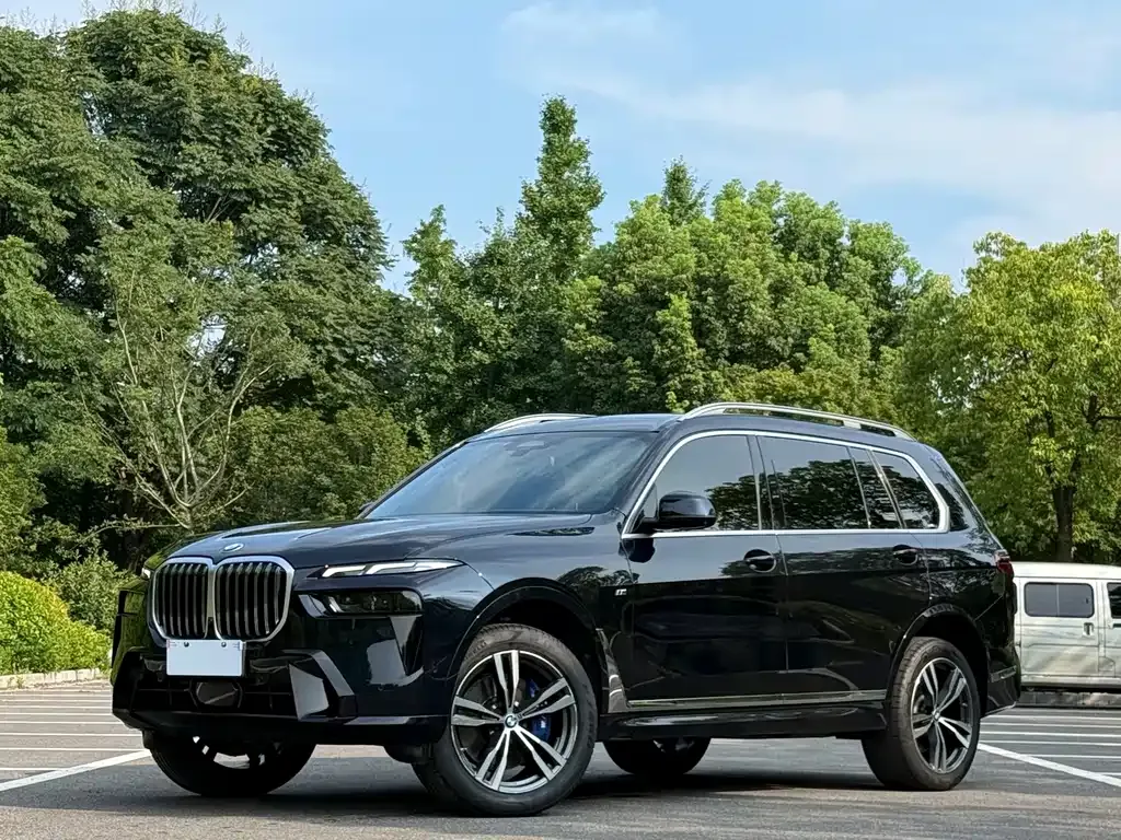 BMW X7 — фото 1