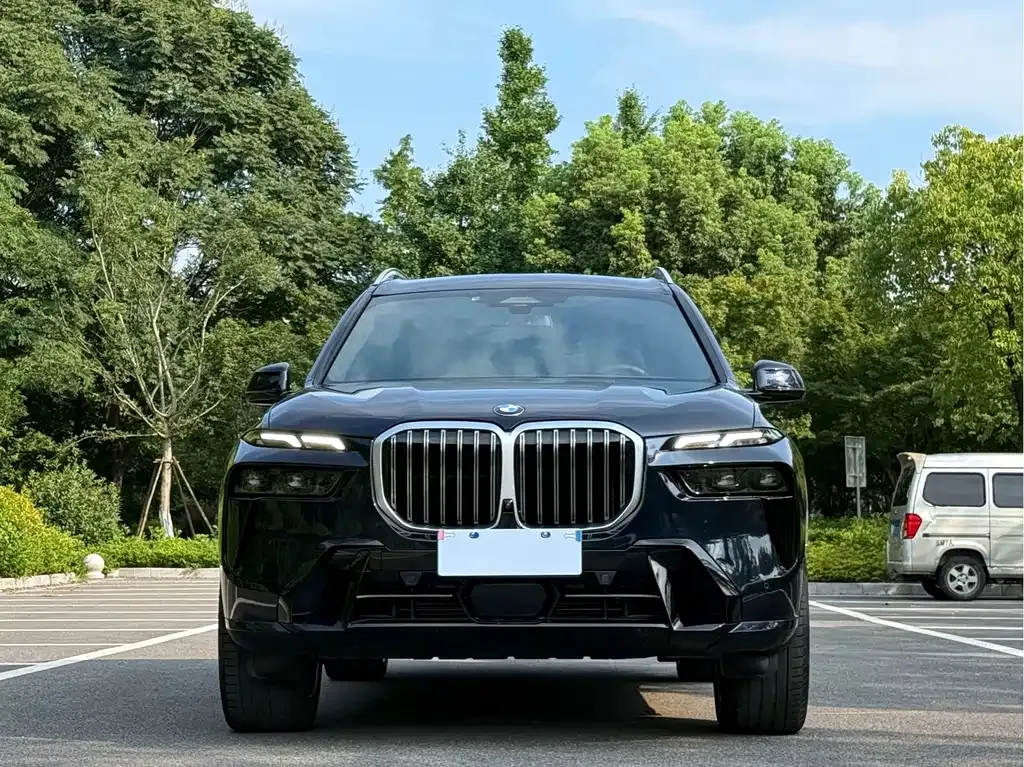 BMW X7 — фото 10