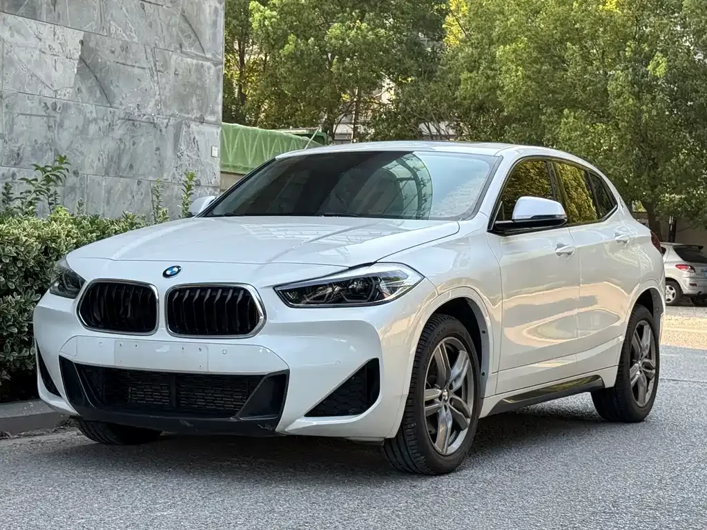 BMW X2 — фото 1