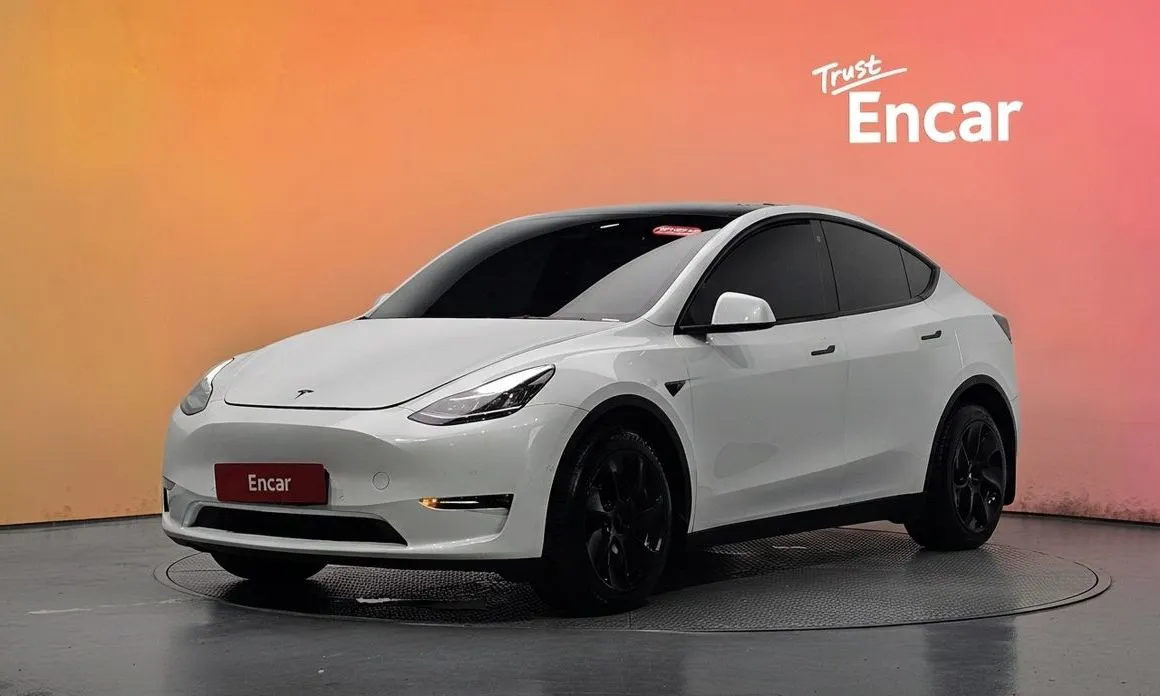 Tesla Model Y — фото 1