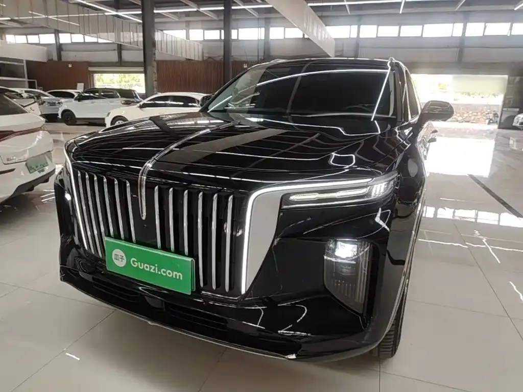 Hongqi E-HS9 — фото 1
