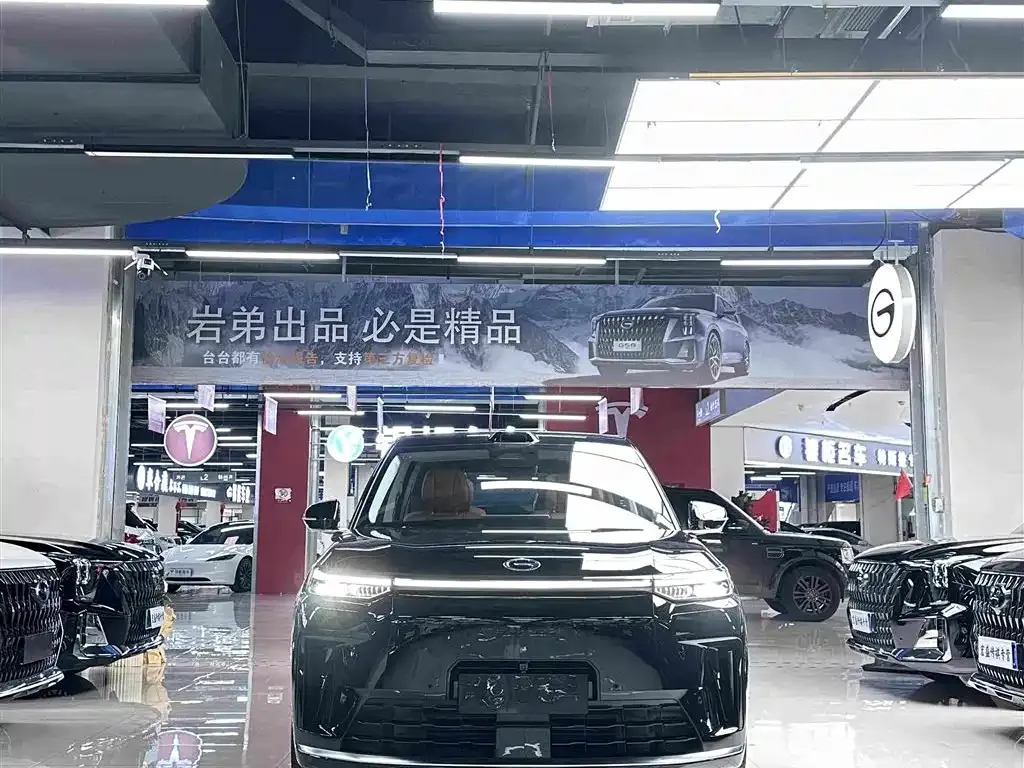 GAC Motor Trumpchi Xiangwang S9 — фото 9