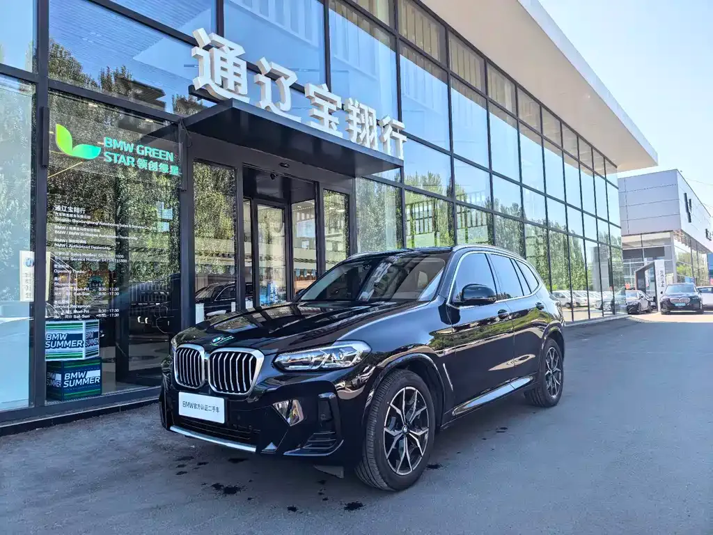 BMW X3 — фото 1