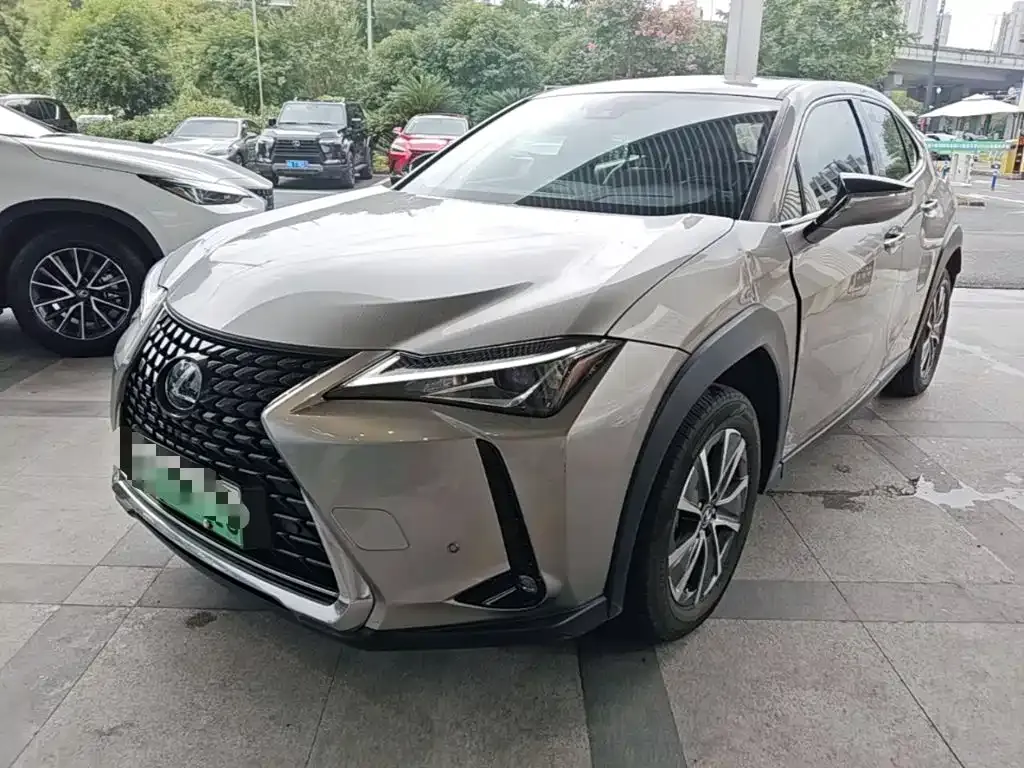 Lexus UX New Energy — фото 6