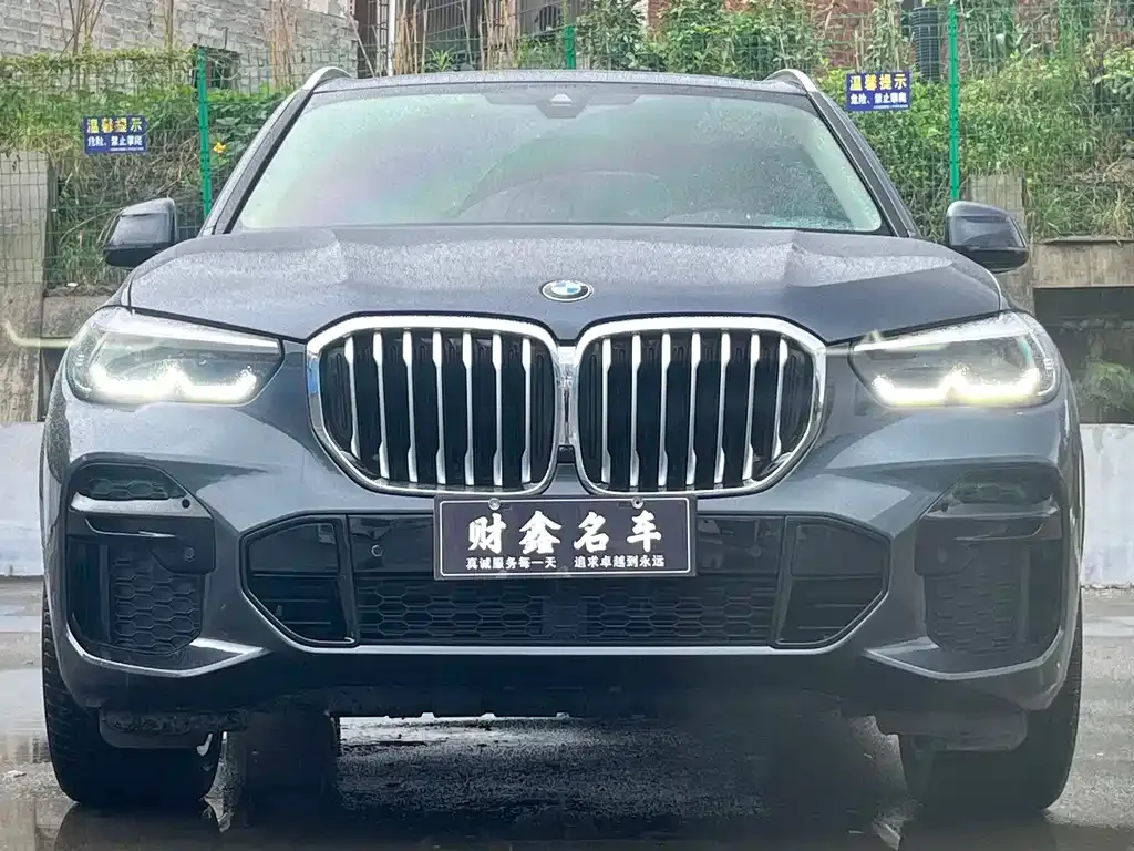 BMW X5 (Import) — фото 6