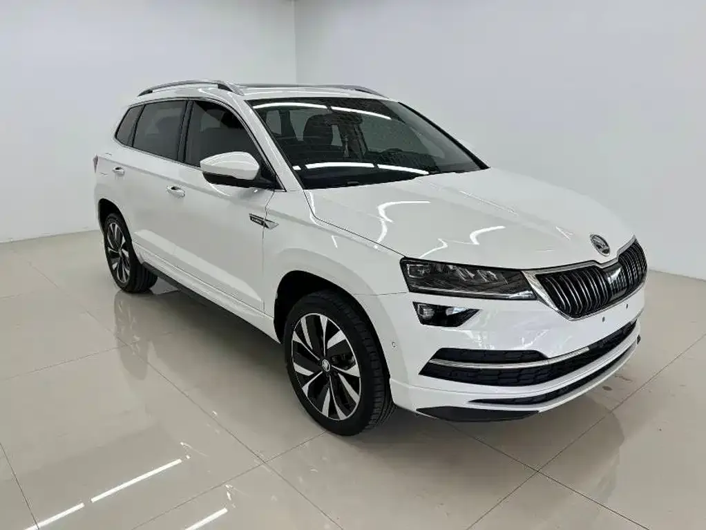 Skoda Karoq — фото 7
