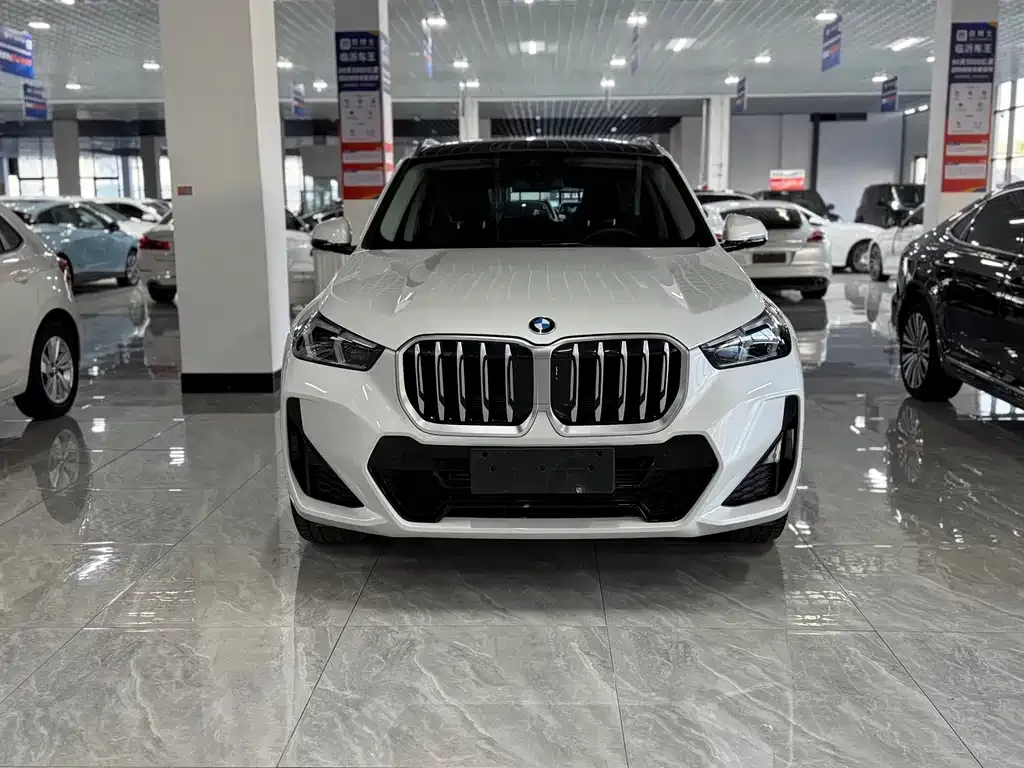 BMW X1 — фото 10