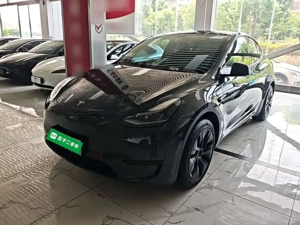 Tesla Model Y — фото 1