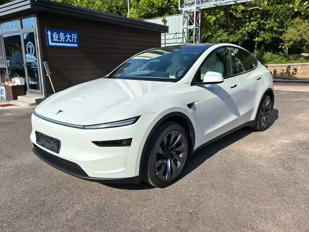 Tesla Model Y — фото 1
