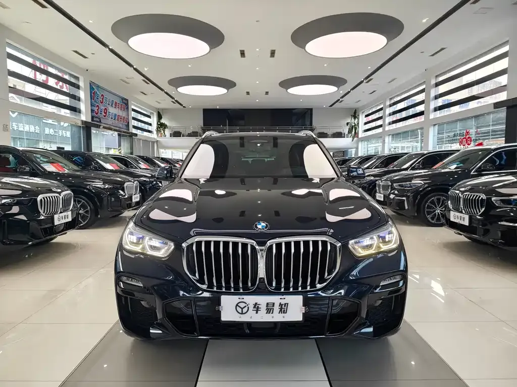 BMW X5 (Import) — фото 6