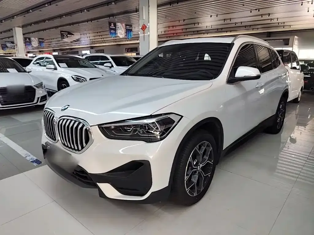 BMW X1 — фото 1