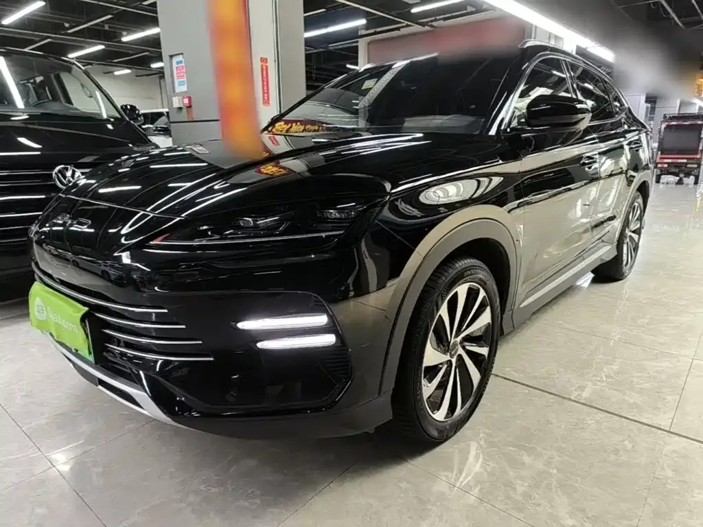 BYD PLUS New Energy — фото 10