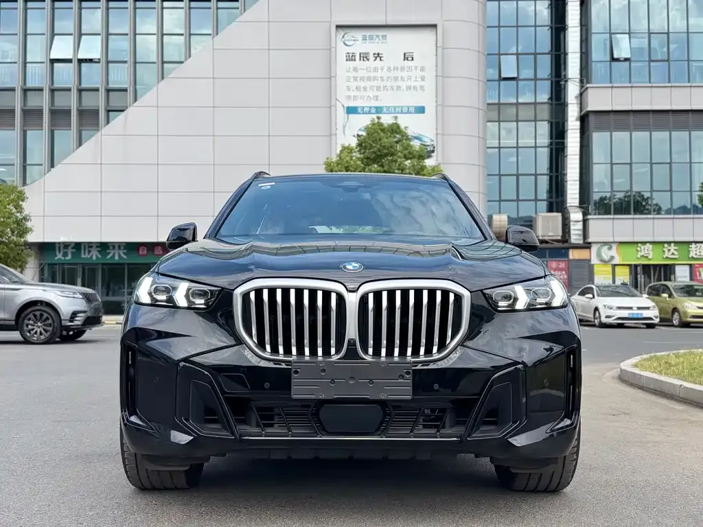 BMW X5 — фото 5