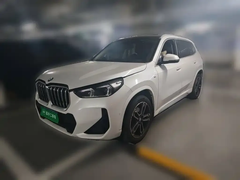 BMW X1 — фото 1