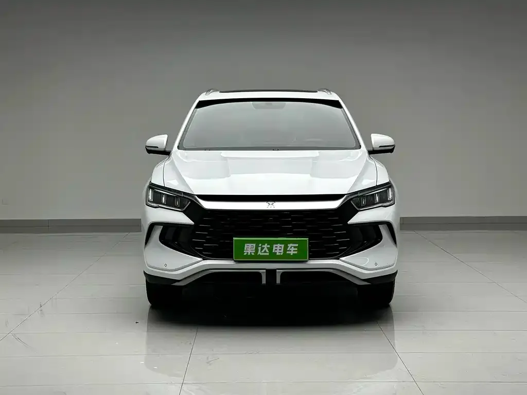 BYD Pro New Energy — фото 8