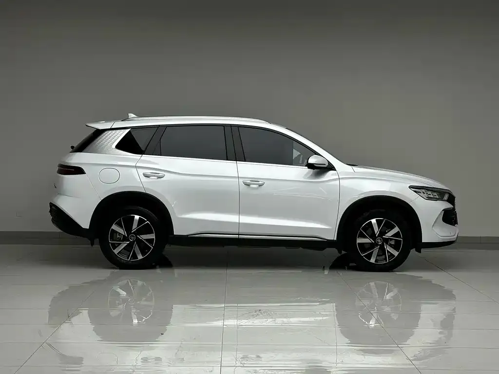 BYD Pro New Energy — фото 9