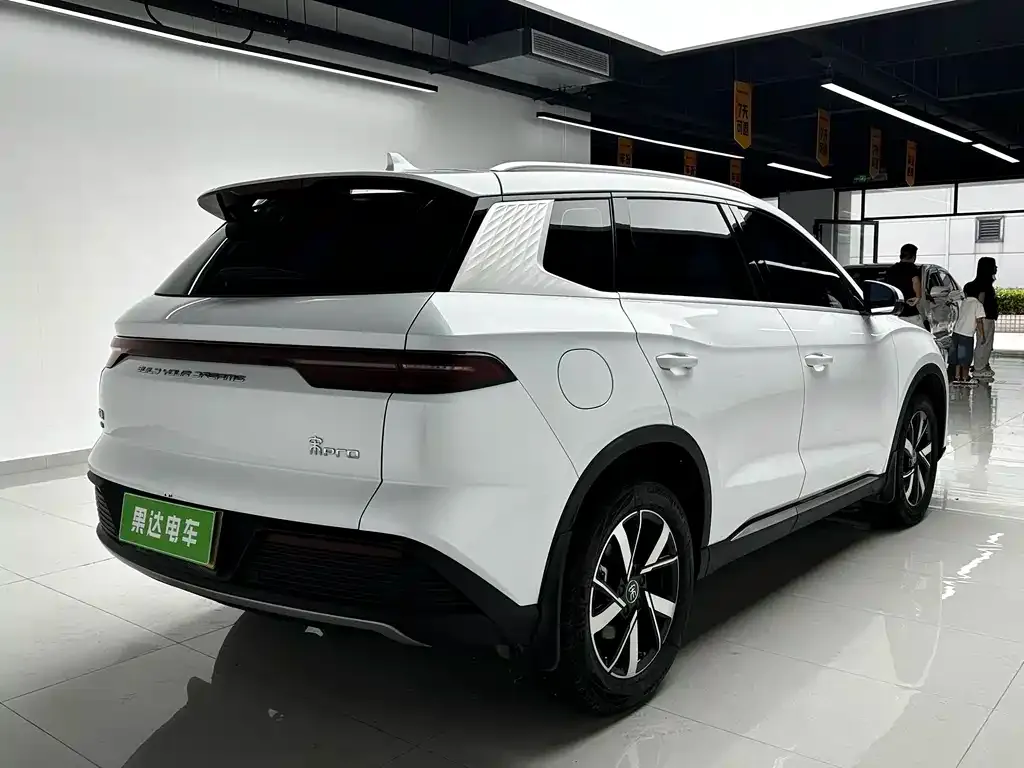 BYD Pro New Energy — фото 10