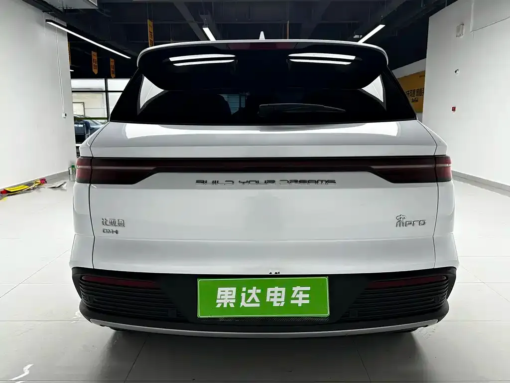 BYD Pro New Energy — фото 7