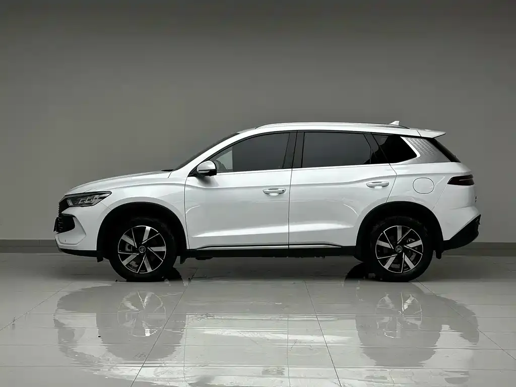 BYD Pro New Energy — фото 3