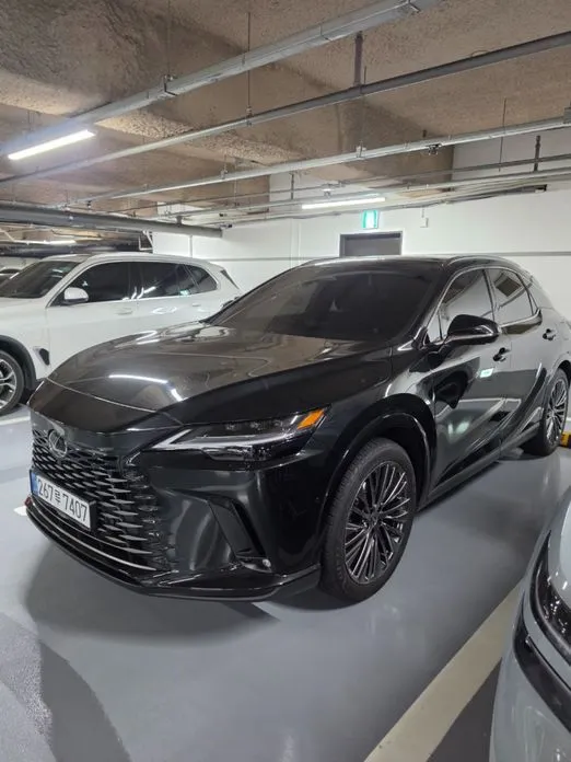 Lexus RX — фото 1