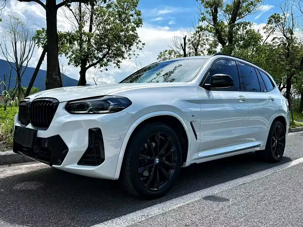 BMW X3 — фото 1