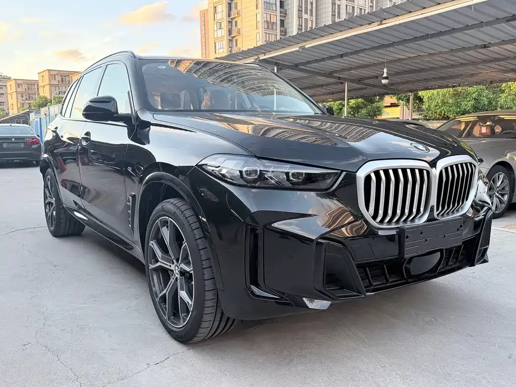 BMW X5 — фото 9