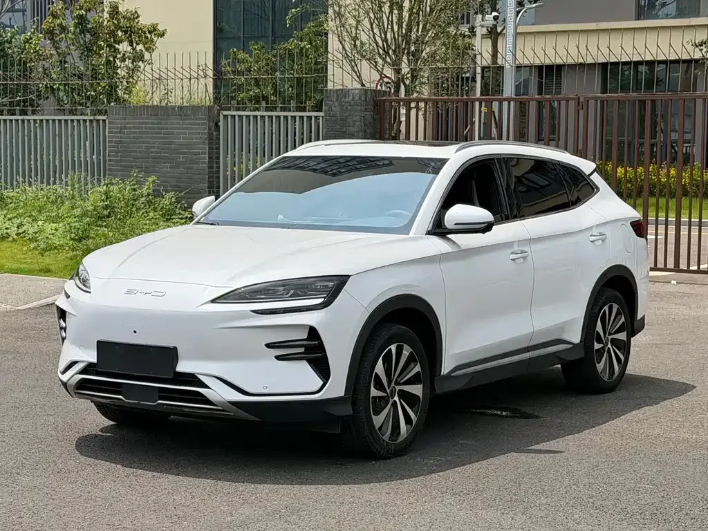 BYD PLUS New Energy — фото 1