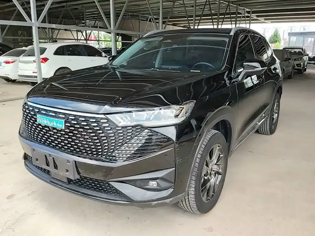 Haval H6 New Energy — фото 8