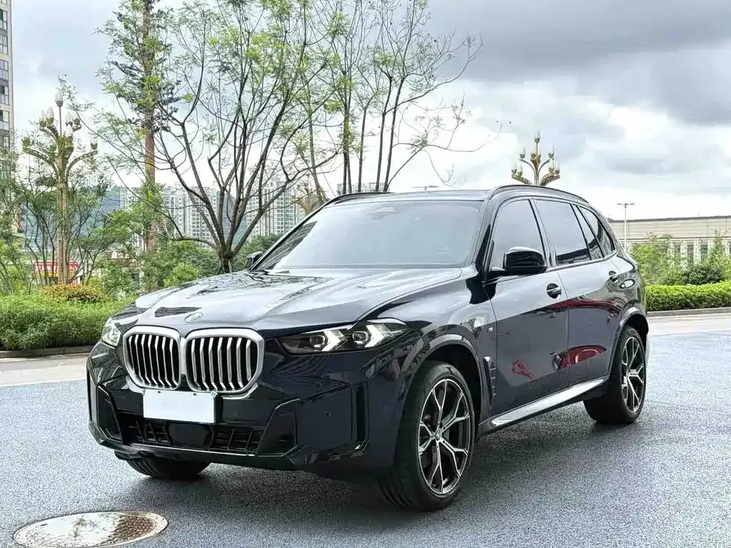 BMW X5 — фото 1