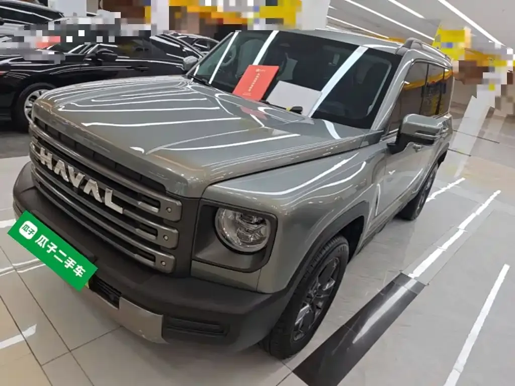 Haval Menglong New Energy — фото 1